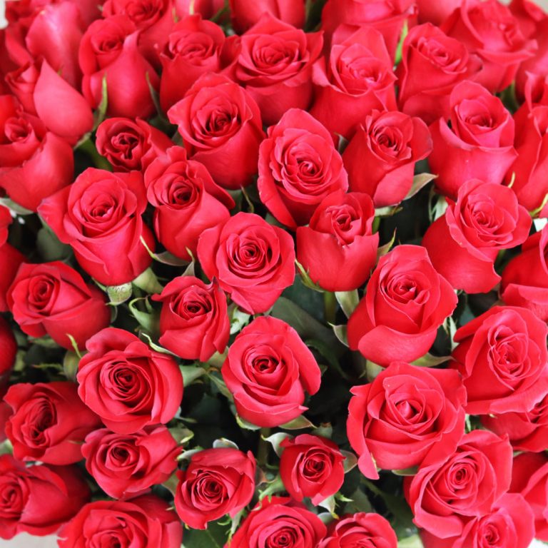 100 Red Roses in Box | Flower Delivery To Abu Dhabi & Dubai