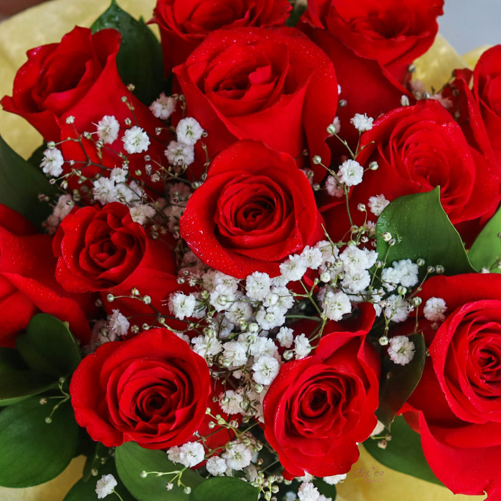 Premium Red Roses with Green Fillers | Ruby Red