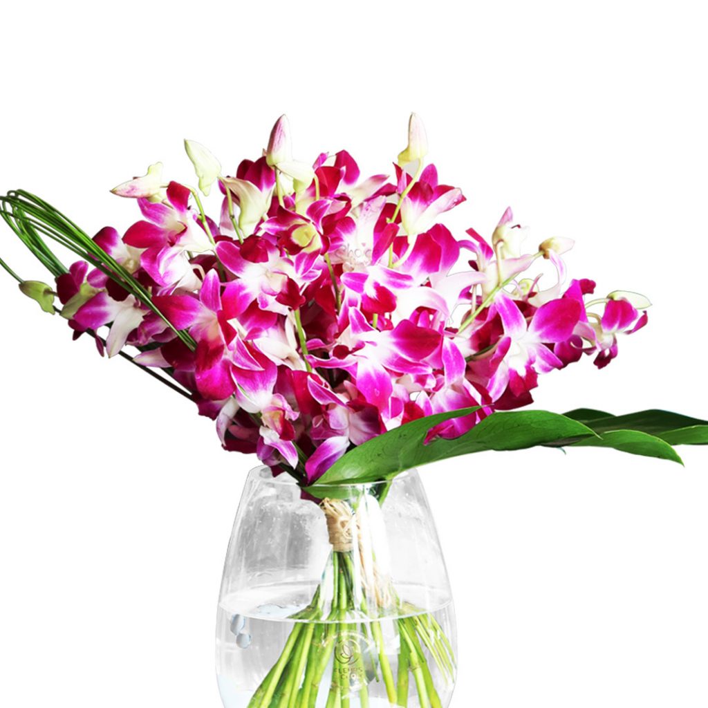 Purple Dendrobium Orchids in Glass Vase | Birthday Special