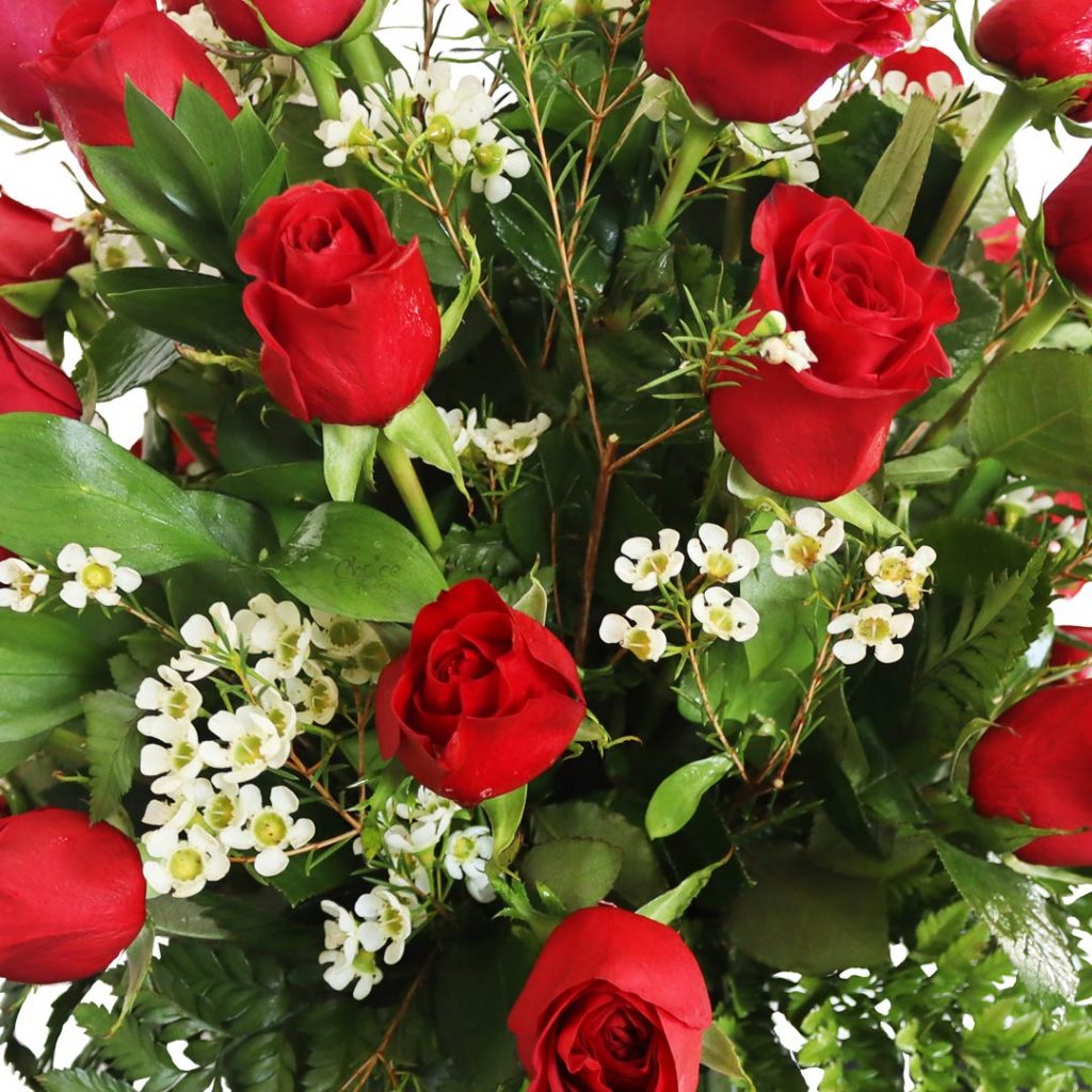 Roses with Fillers in Glass Vase | Gorgeous Reds Arrangement