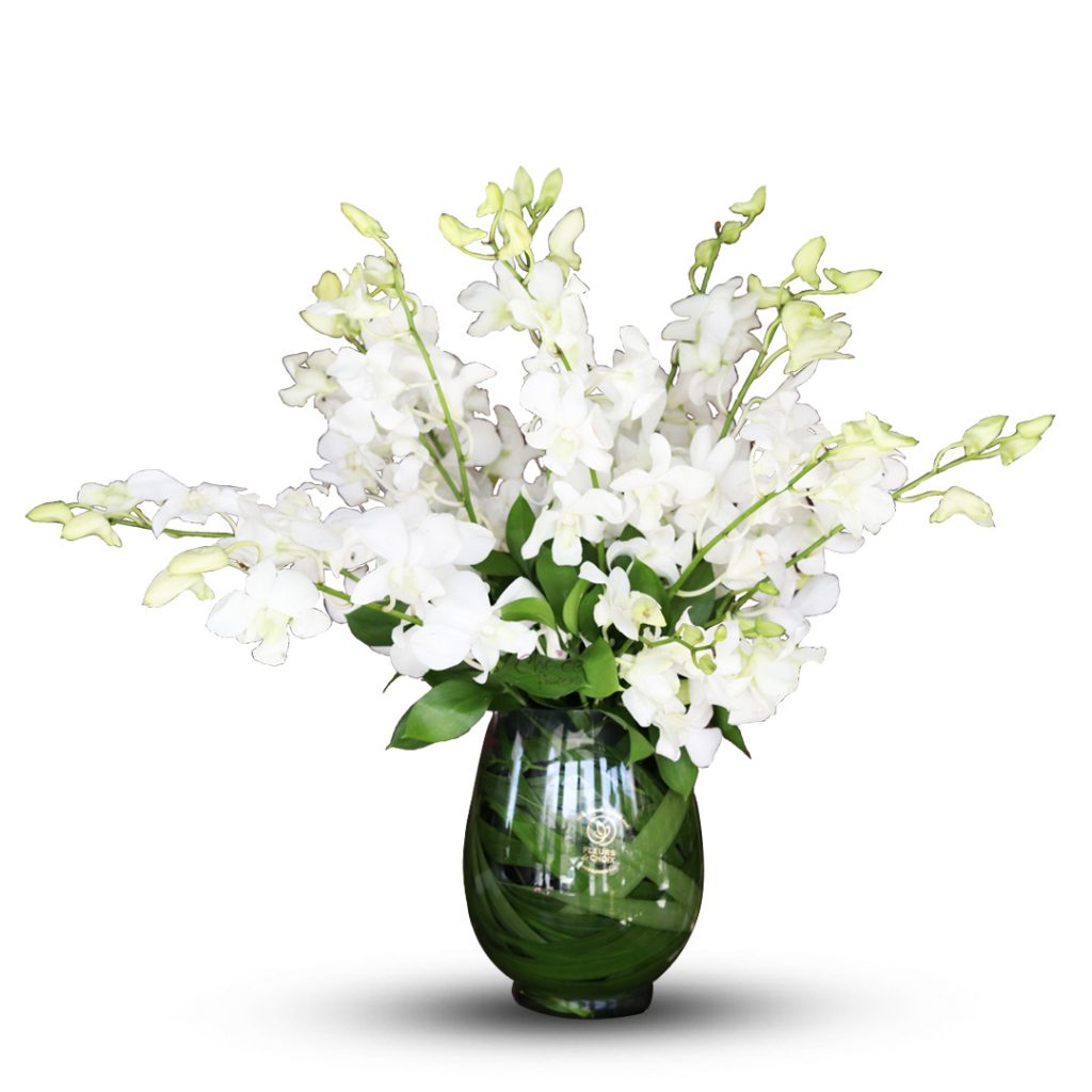 White Orchids in Vase Orchid Vase White Arrangement