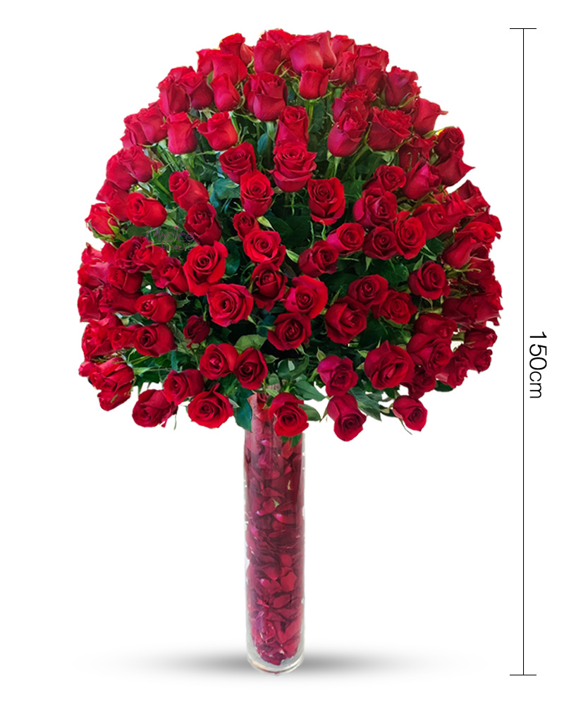 300 Roses Royal Wishes | Big Red Roses Arrangement