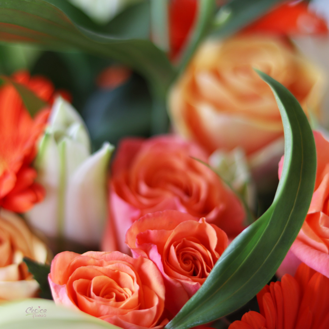 Orange and White Mixed Flowers | Pretty Present Arrangement