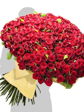 1000 Red Roses Giant Bouquet