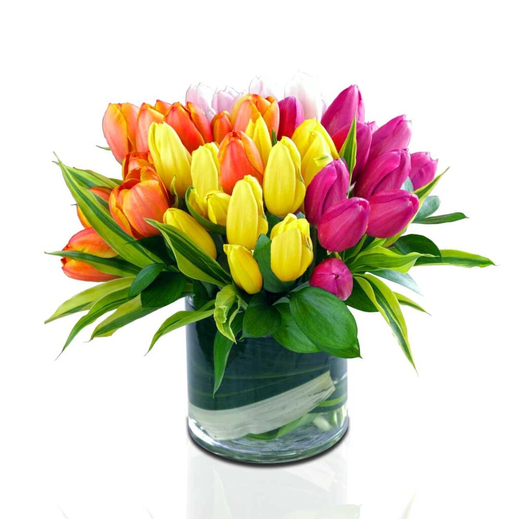 Colourful Tulips In Glass Vase - Choiceflowersuae