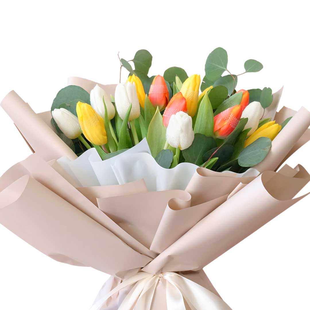 Premium Mixed Tulips - Choiceflowersuae