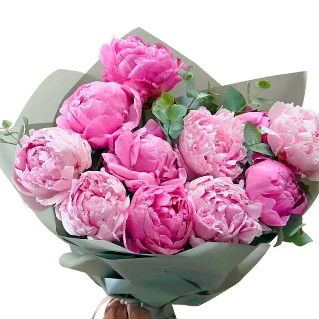 Pink Peony Hand Bouquet - Choiceflowersuae