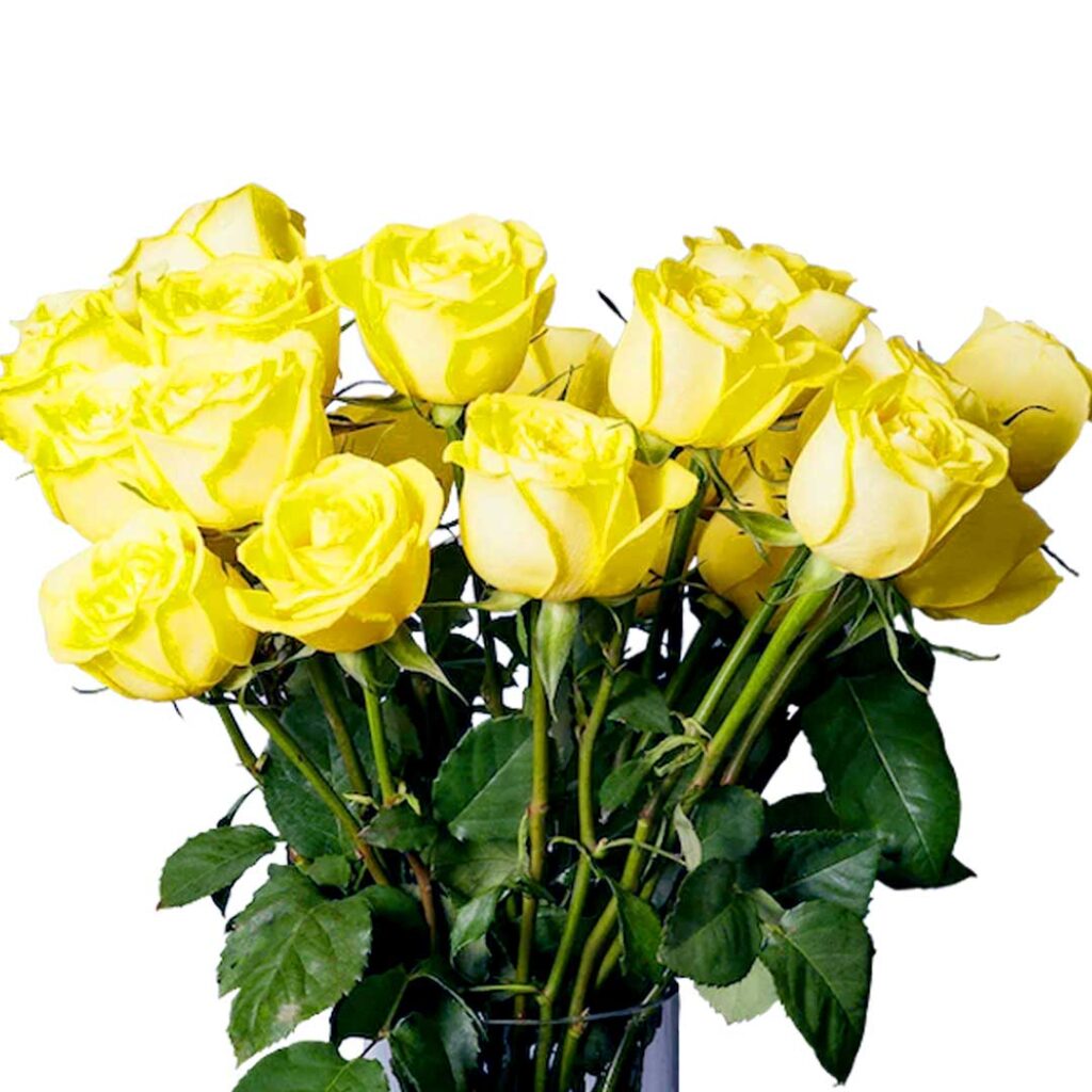 Yellow Roses in Vase - Choiceflowersuae