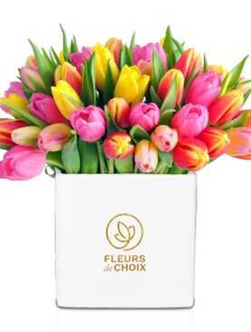 Luxe Luster Tulips