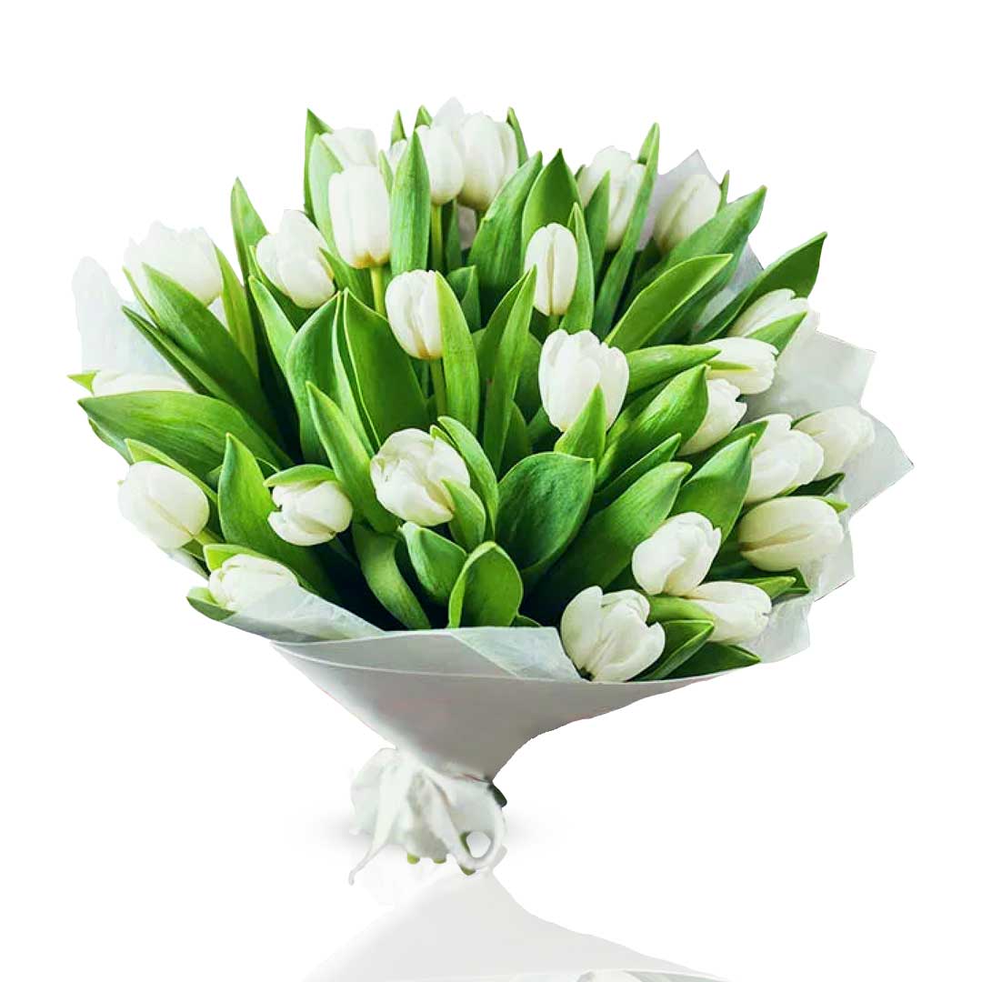 Stunning White Tulip Flowers - Choiceflowersuae