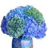 hydrangea fresh flowers